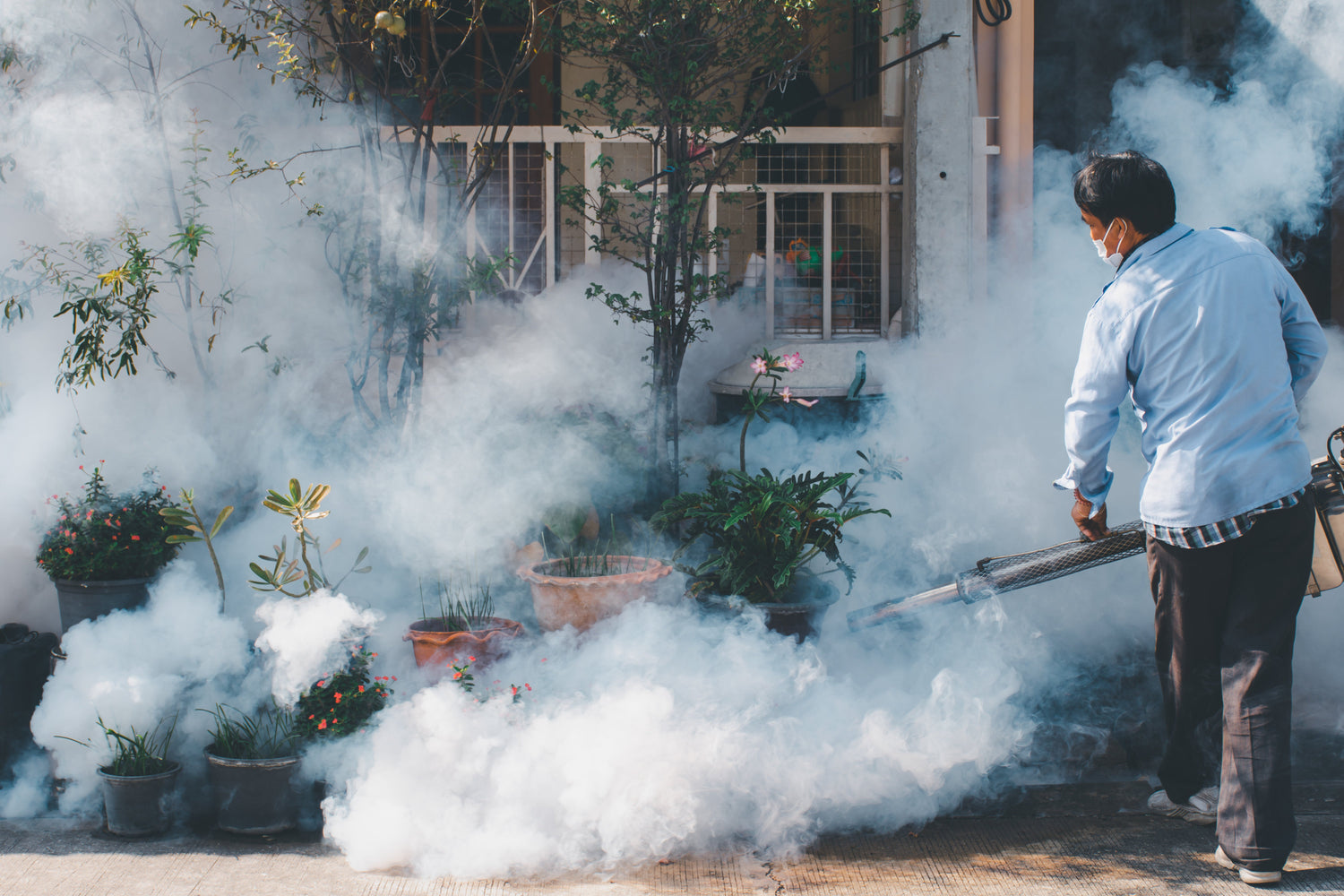 Pest Control